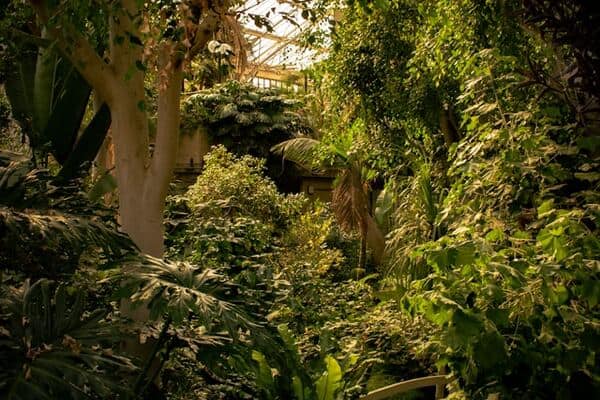 Barbican Conservatory, London