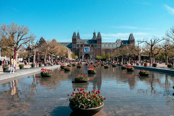 Tulips outside a building in Amsterdam