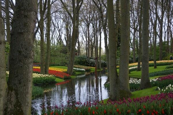 a river in between a green open space with rows of colourful flowers