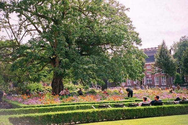 The Rijksmuseum Garden in Amsterdam