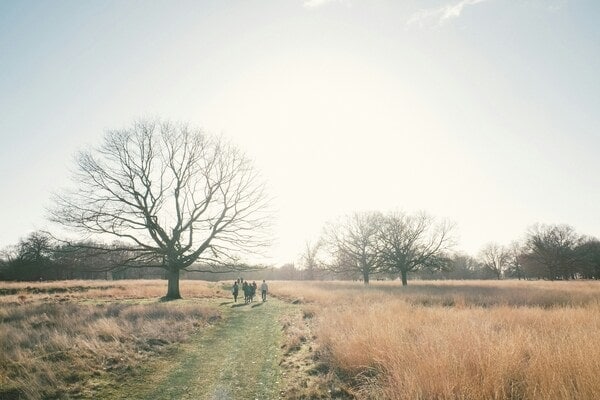 People walking in Richmond Park, London.