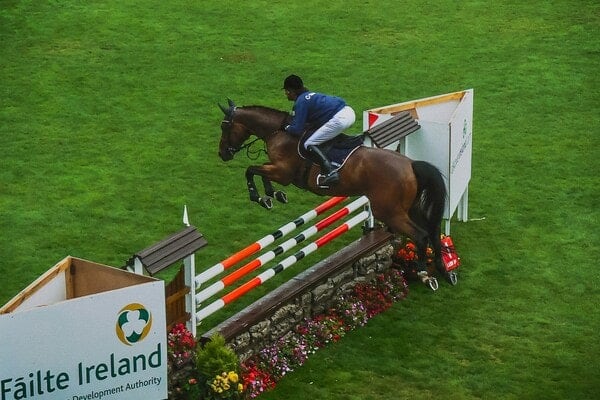 Dublin Horse Show