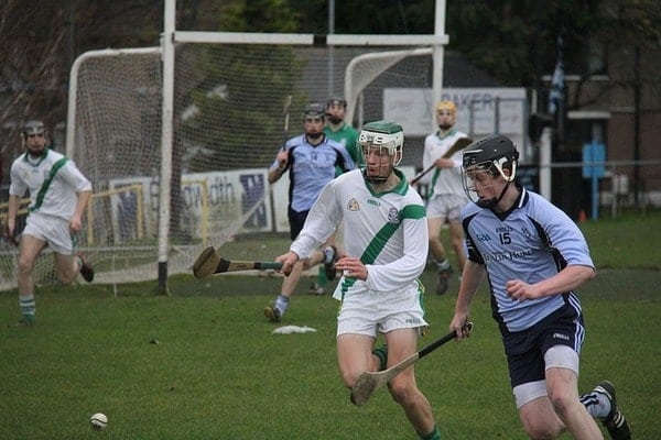 Boys playing hurling